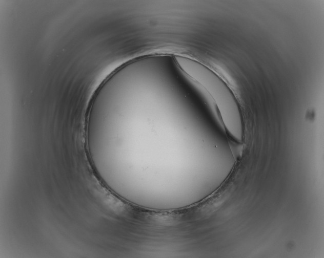 X0000091970948200709271404
