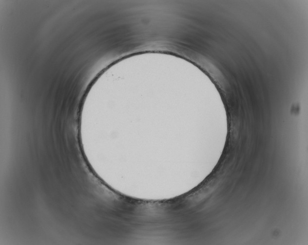 X0000091970950200709271404