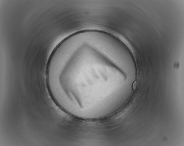 X0000091970951200709271404