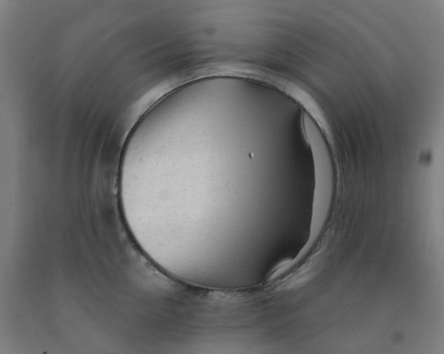 X0000091970954200709271404