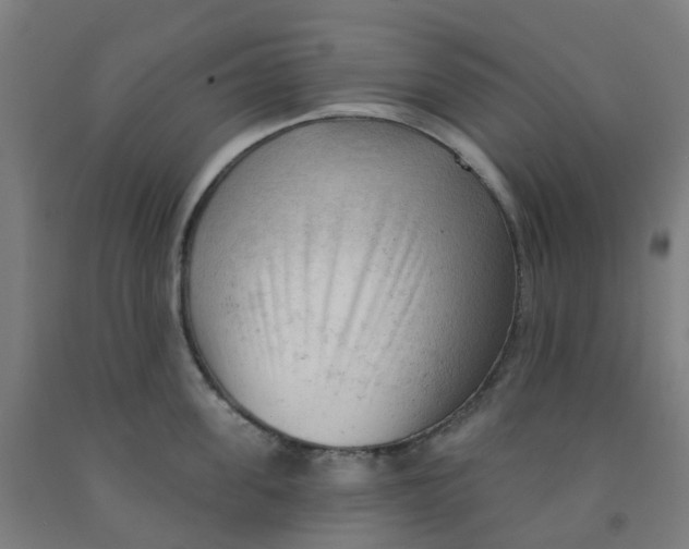 X0000091970955200709271404