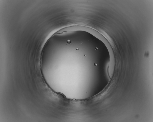 X0000091970956200709271404