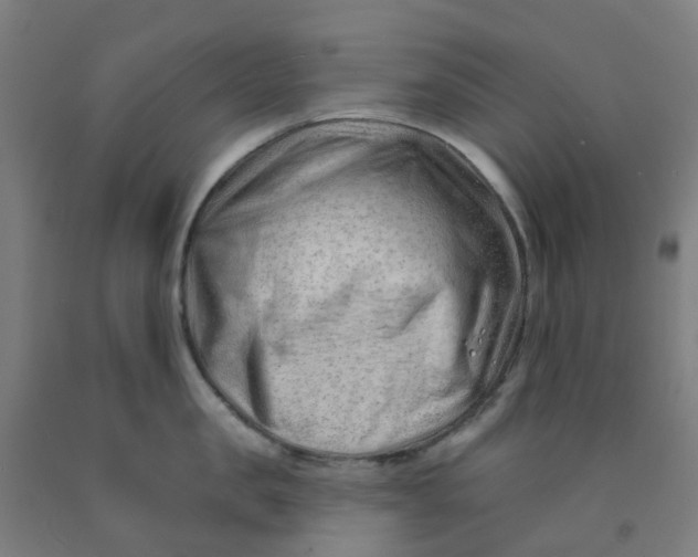 X0000091970957200709271404