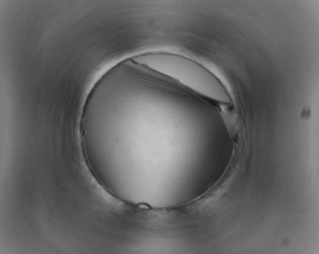 X0000091970959200709271404