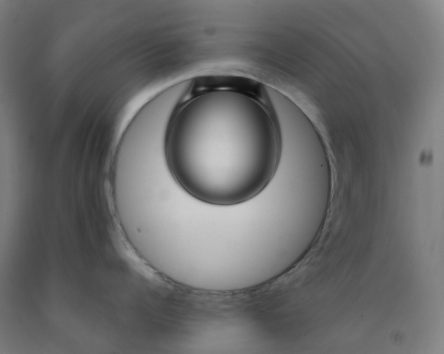 X0000091970960200709271404