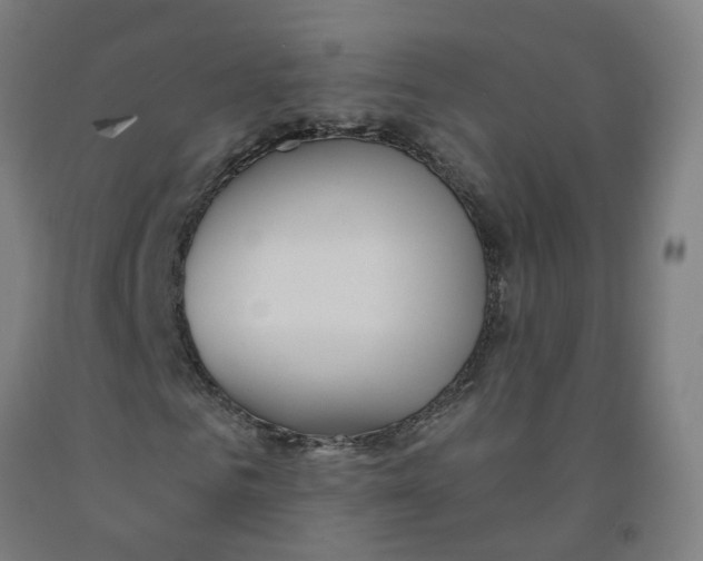 X0000091970961200709271404