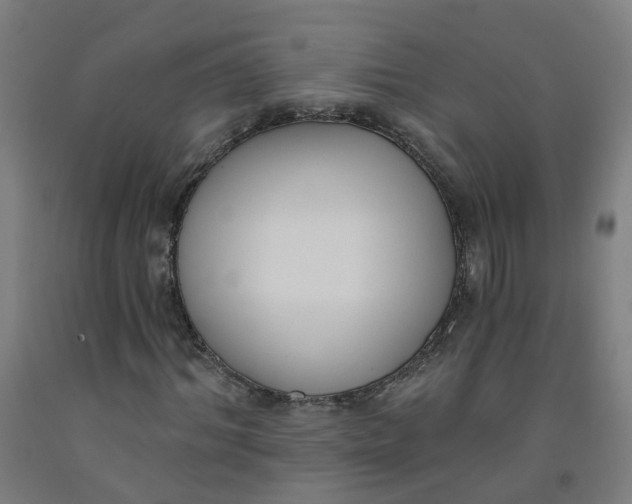 X0000091970964200709271404