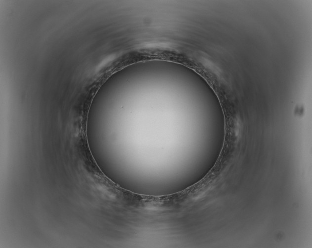X0000091970965200709271404
