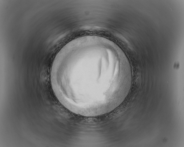 X0000091970966200709271404