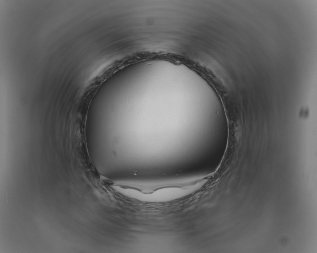 X0000091970968200709271404
