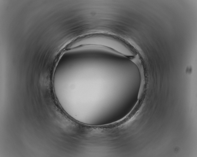 X0000091970969200709271404