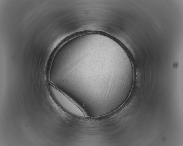 X0000091970972200709271404