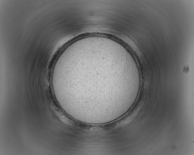 X0000091970974200709271404