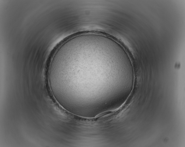 X0000091970975200709271404