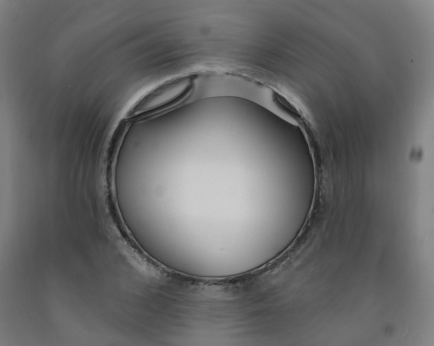 X0000091970976200709271404