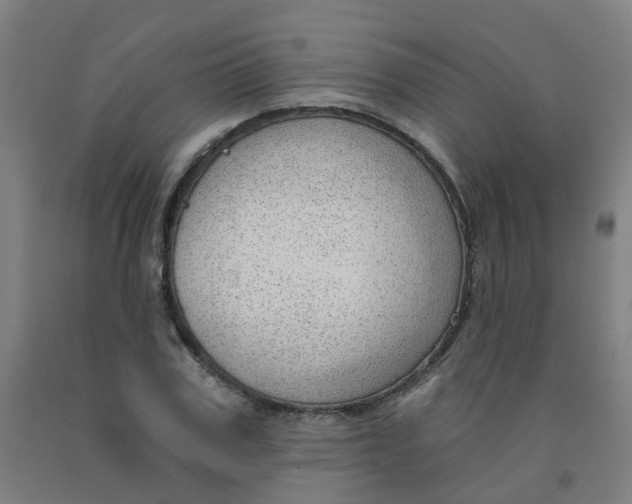 X0000091970979200709271404