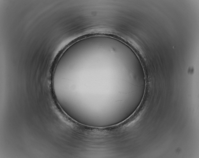 X0000091970981200709271404