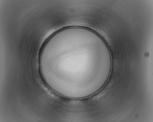 X0000091970982200709271404