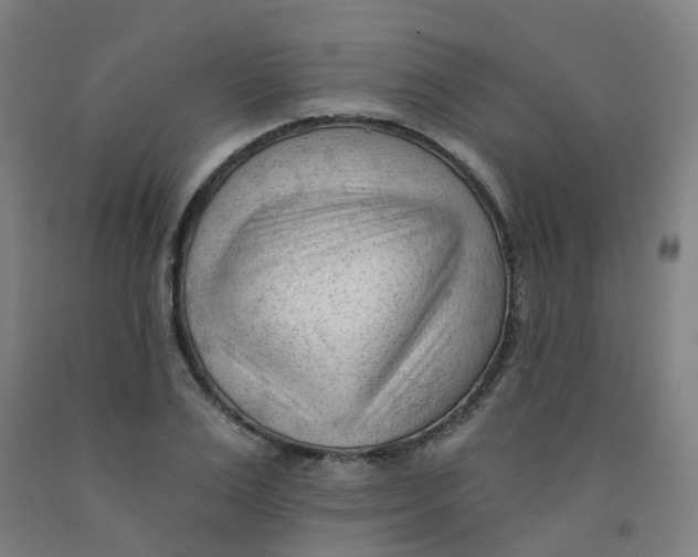 X0000091970983200709271404