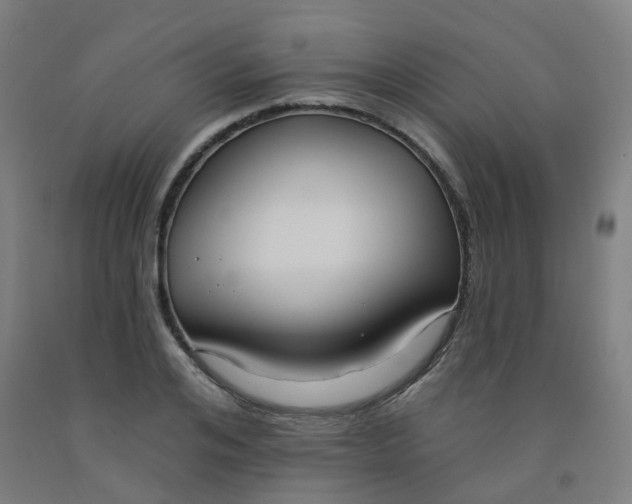 X0000091970984200709271404