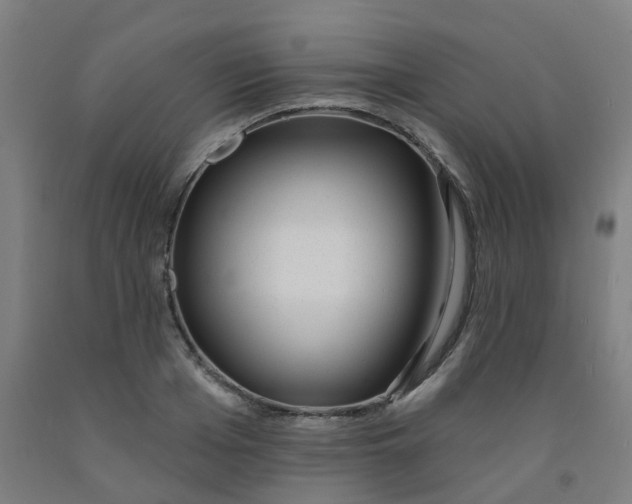 X0000091970985200709271404