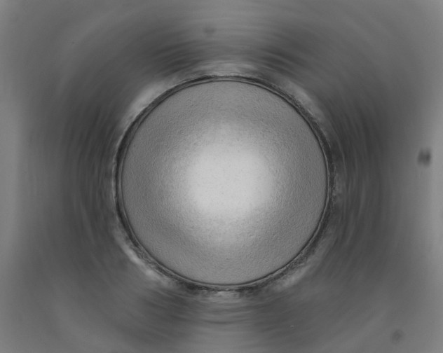 X0000091970986200709271403