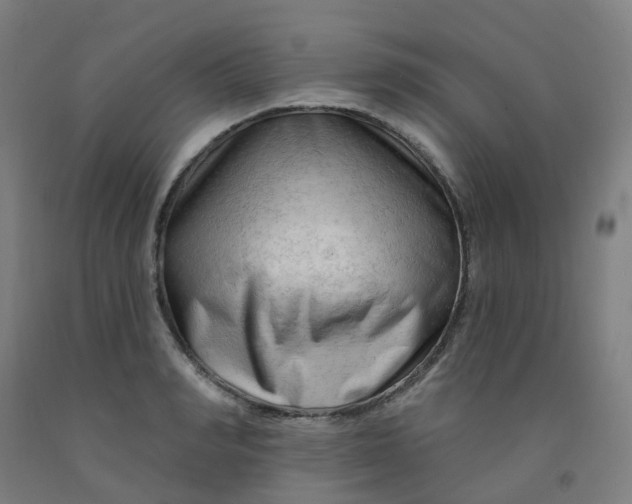 X0000091970990200709271403