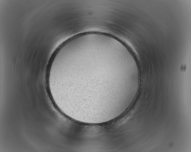 X0000091970991200709271403