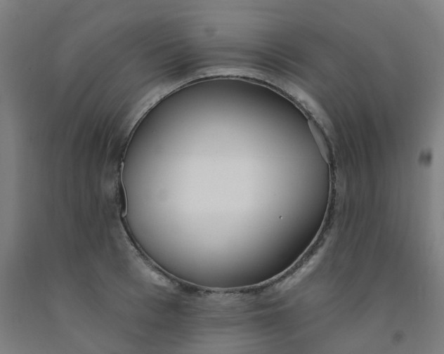X0000091970993200709271403