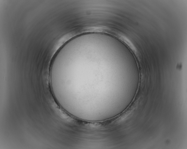 X0000091970994200709271403