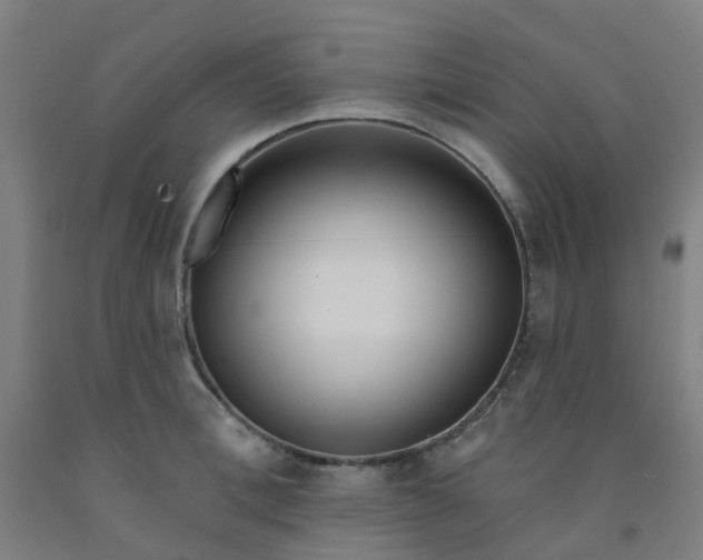 X0000091970996200709271403