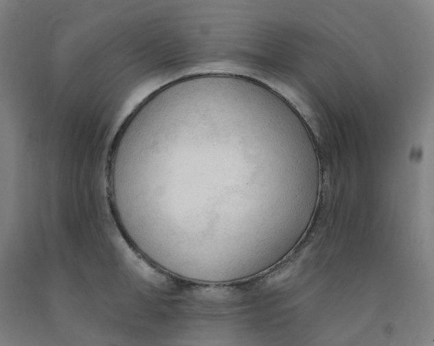 X0000091970998200709271403
