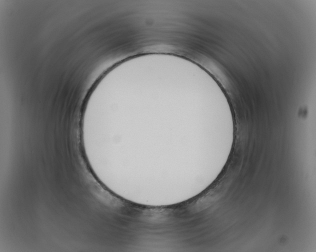 X0000091971000200709271403
