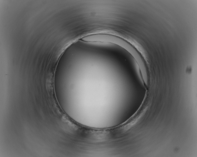 X0000091971001200709271403