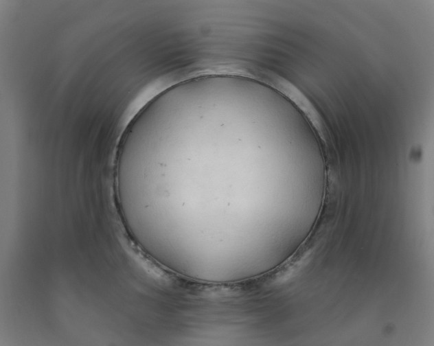 X0000091971002200709271403