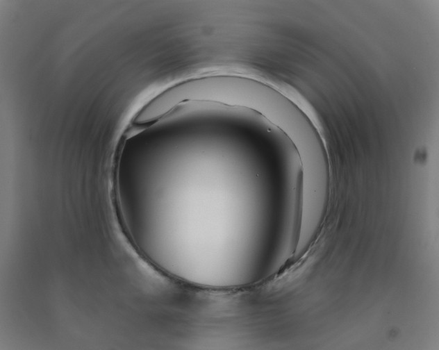 X0000091971005200709271403