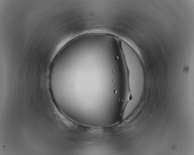 X0000091971006200709271403