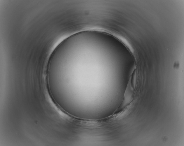 X0000091971007200709271403