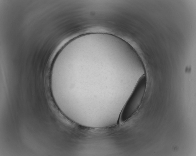 X0000091971008200709271403