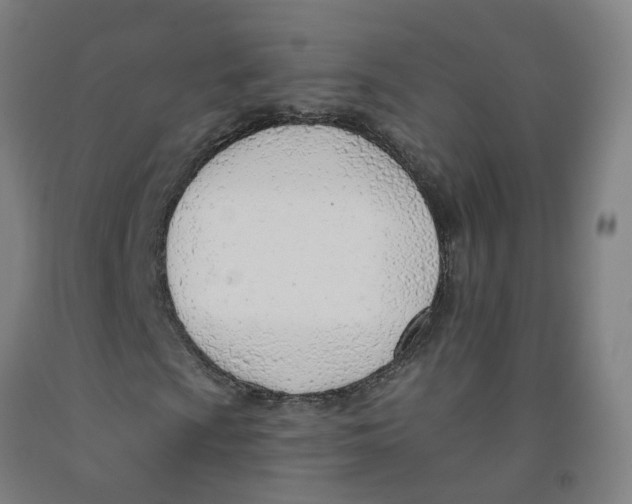 X0000091971009200709271403