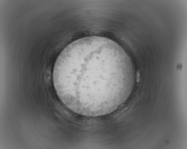 X0000091971011200709271403