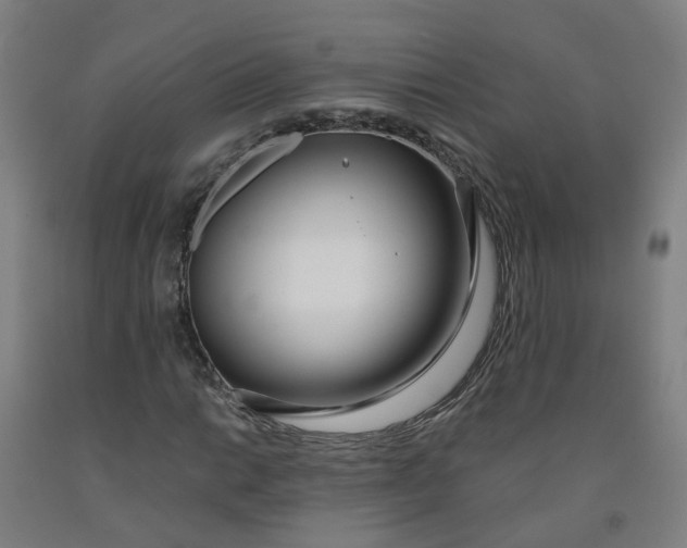X0000091971014200709271403