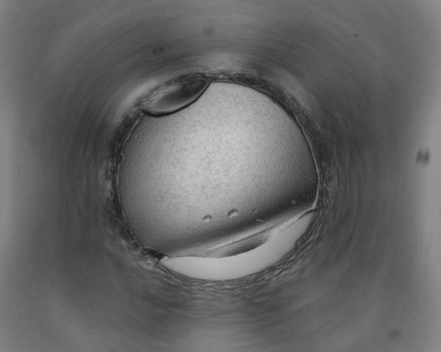X0000091971016200709271403