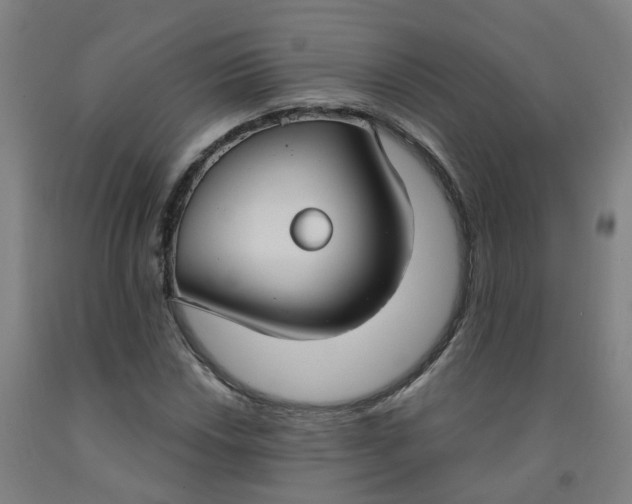 X0000091971018200709271403