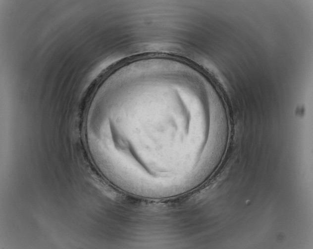 X0000091971019200709271403