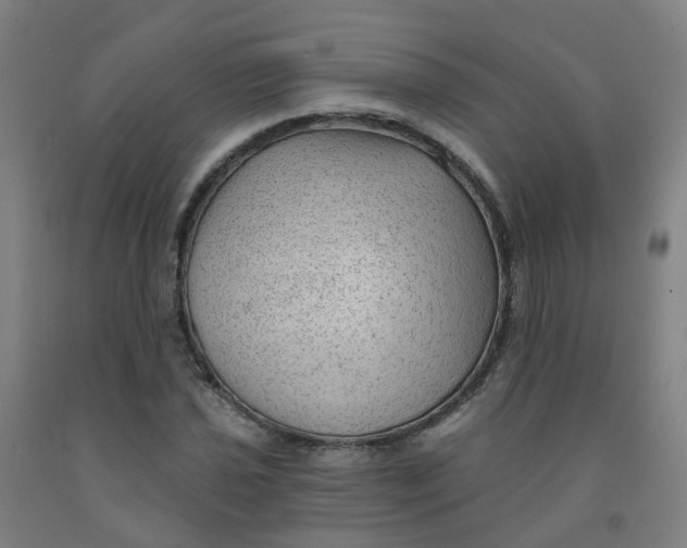 X0000091971021200709271403
