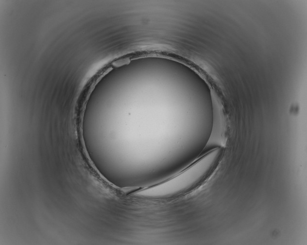 X0000091971022200709271403