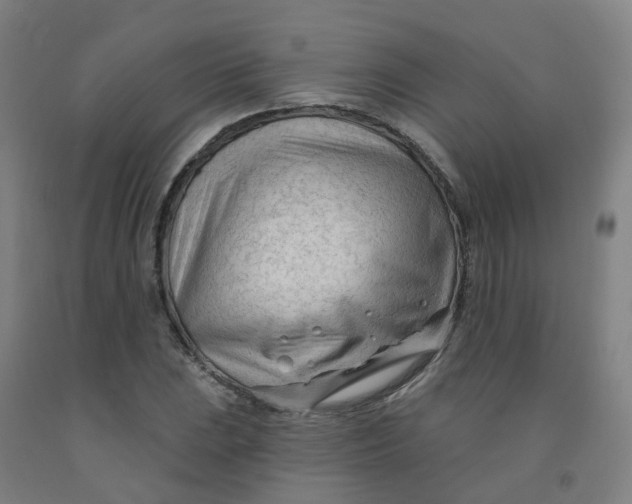 X0000091971023200709271403