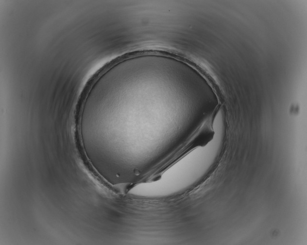 X0000091971024200709271403