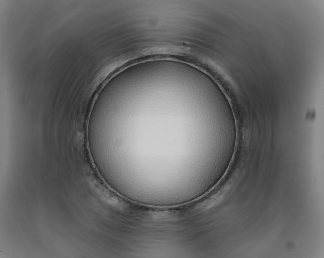 X0000091971025200709271403